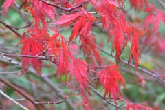 kolory na każdą porę roku