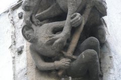 ptaszysko dziobiące złodziejaszka (???)