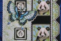 Misie panda