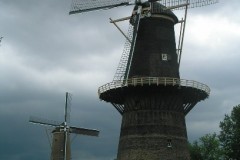 De Noord (33,3 m wyskości!) i De Nieuwe Palmboom De Noord (33,3 m wyskości!) i De Nieuwe Palmboom