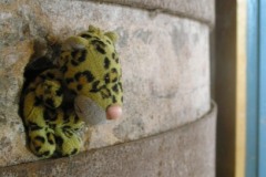 Edmund wewnątrz mechanizmu mielącego.. Edmund wewnątrz mechanizmu mielącego..