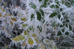 Który kolor lepiej kontrastuje z bielą?